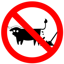 No BS logo